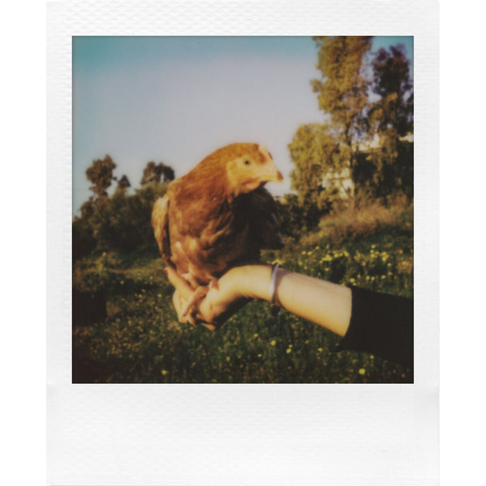 Polaroid Go Generation 3 Mini Instant Film Camera