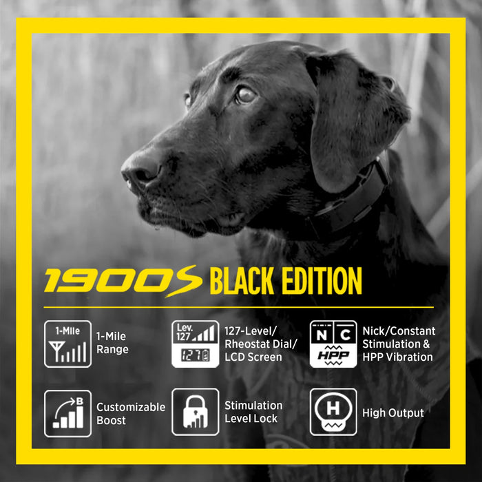 1900S Black Boost & Lock E-Collar Remote Dog Trainer with 1-Mile Range