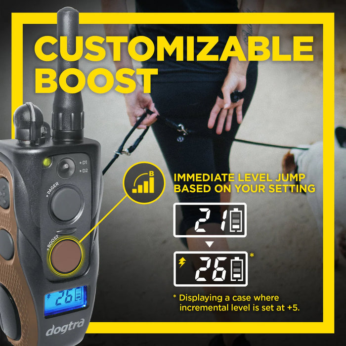 1902S HANDSFREE Plus Boost and Lock |  2 Dog Training E-Collars and Remote