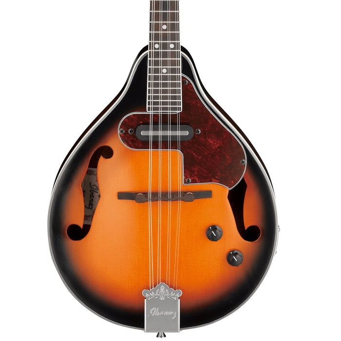 M510E 8-String Hollowbody Mandolin with Purpleheart Fretboard, Right-Handed