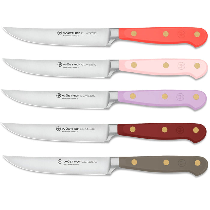 Classic Color Series High Carbon Stainless Steel 4.5" Steak Knife