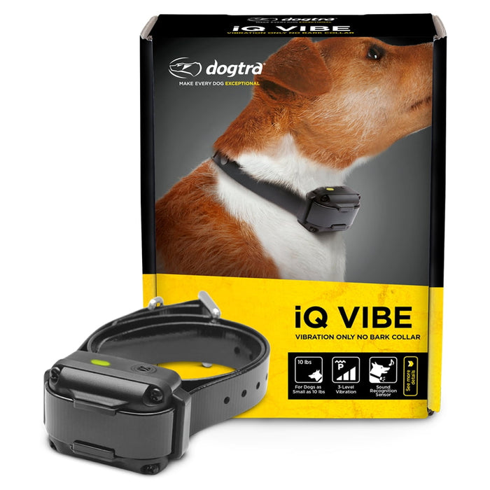 iQ Vibe No Bark Collar with 3 Levels of Vibration Only | Small & Medium Dogs