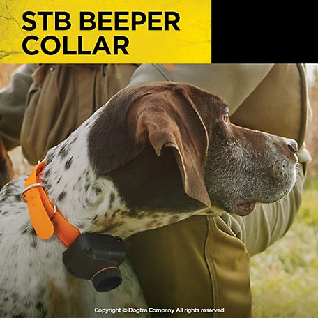 STB Beeper Collar - Hawk Version Hunting Dog Collar | Audible Up to 400 Meters