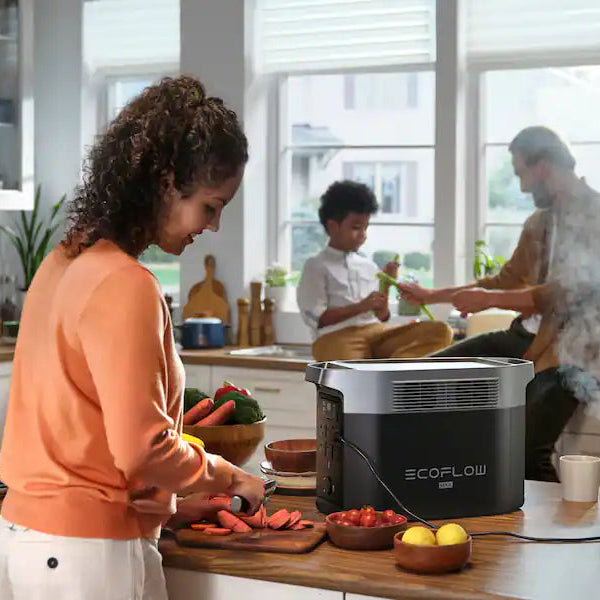 EcoFlow DELTA 2 Max Portable Power Station with 2048Wh Capacity for Power Backup