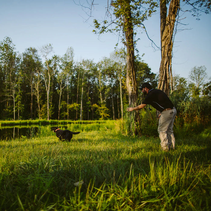 Dogtra Edge RT 1-Mile Remote Dog Training E-Collar with Combination Boost Control