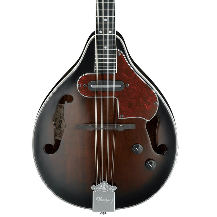 M510E 8-String Hollowbody Mandolin with Purpleheart Fretboard, Right-Handed