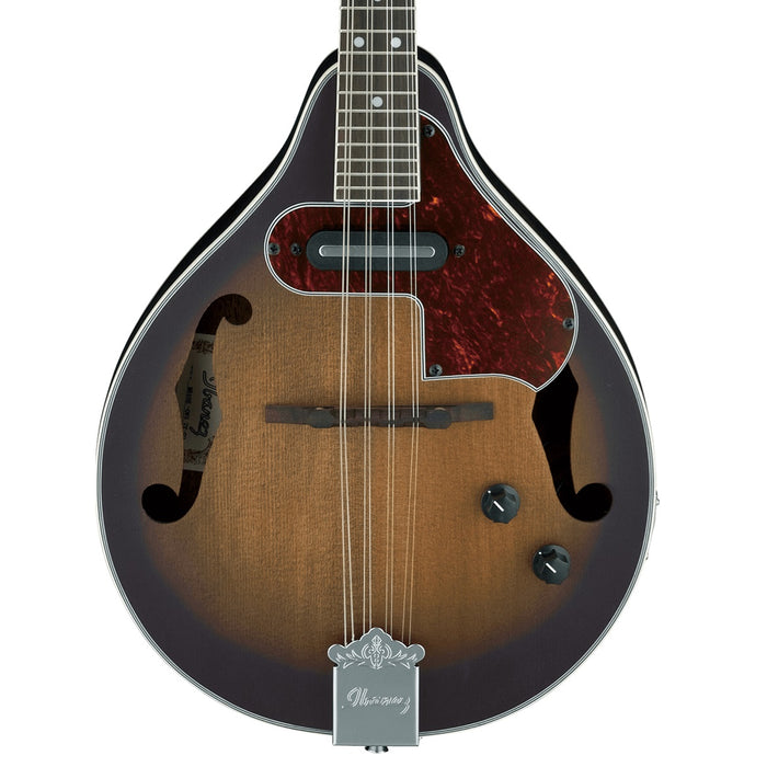 M510E 8-String Hollowbody Mandolin with Purpleheart Fretboard, Right-Handed