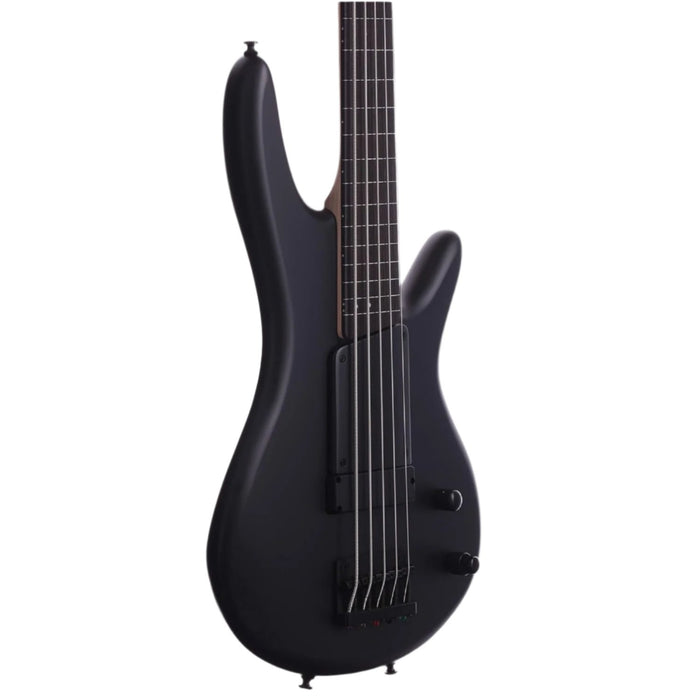 Gary Willis GWB35 5-String Fretless Solidbody Bass Guitar, Right, Black Flat