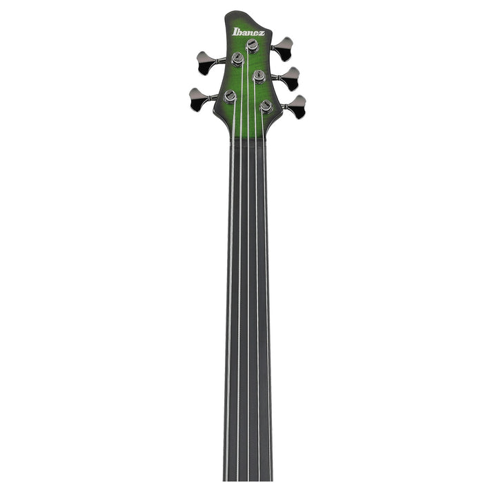 Steve Di Giorgio SDGB1 5-String Fretless Bass Guitar, Right, Dark Moss Burst