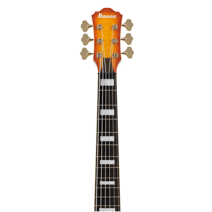 TCB1006 6-String Hollowbody Bass Guitar, Right-Handed, Autumn Leaf Burst Matte