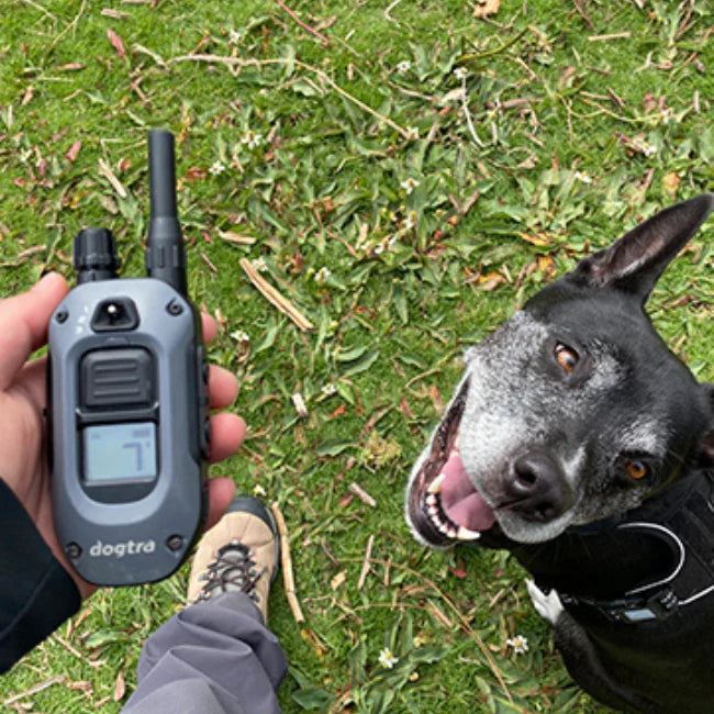 280X 2-Dog 1/2 Mile Range Training E-Collar System with LED Locate Light