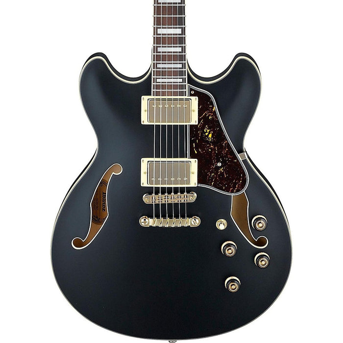 Artcore AS73G Series Semi-Hollow Body Electric Guitar, Right-Handed