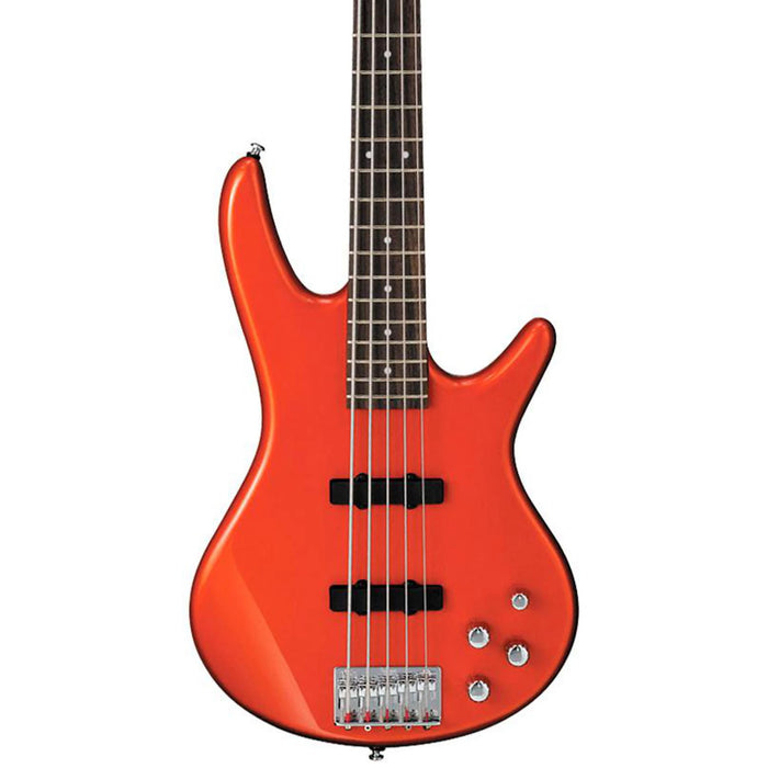 SR Workshop GSR205 5-String Solidbody Bass Guitar, Right-Handed