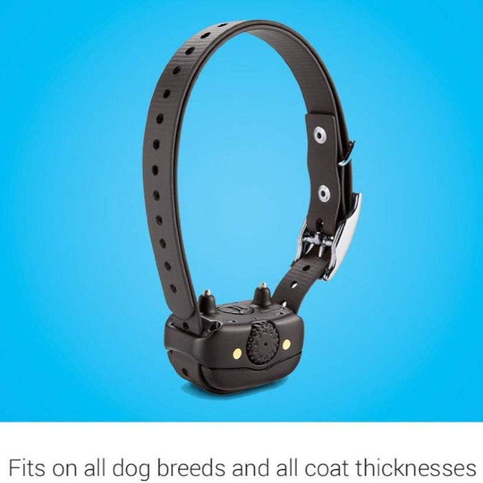 BarkLimiter Deluxe Dog Training Collar with Automatic Levels for All Dog Breeds