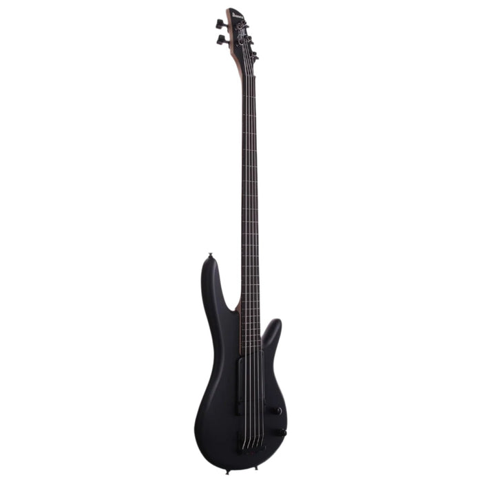 Gary Willis GWB35 5-String Fretless Solidbody Bass Guitar, Right, Black Flat