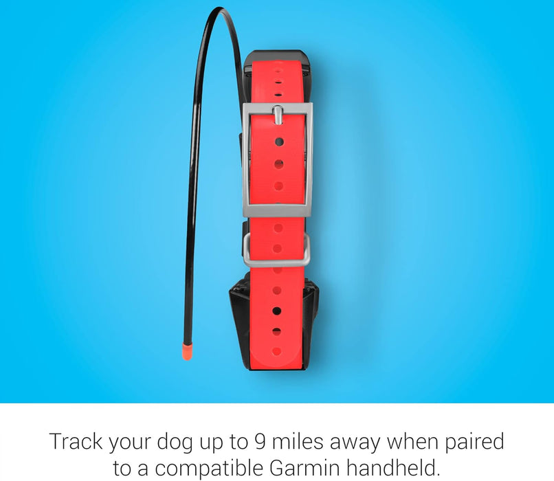 TT 15X Dog Tracking and Training Collar | 18 Levels of Stimulation | Waterproof