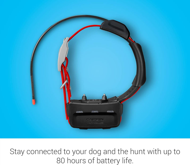 TT 15X Dog Tracking and Training Collar | 18 Levels of Stimulation | Waterproof