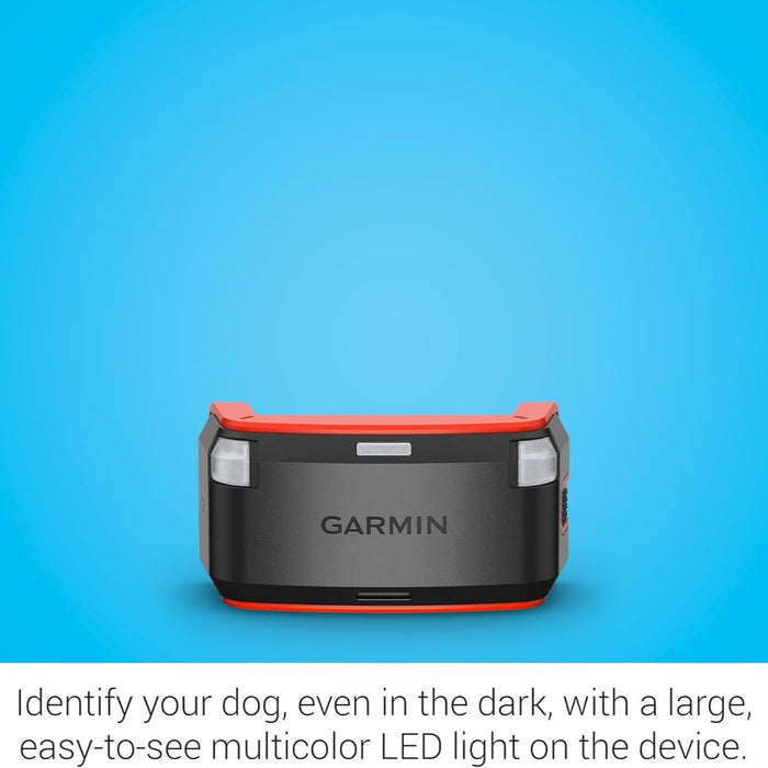 Alpha LTE Cellular Technology Dog Tracker | Track Your Dog's Movement