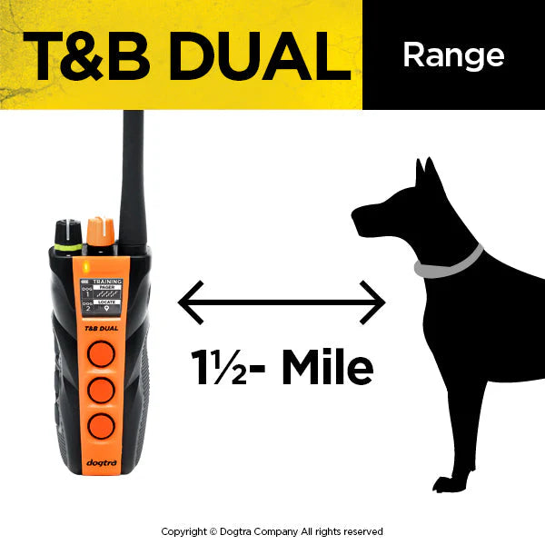 T&B Dual 2-Dog Training & Beeper Remote Dog Training E-Collar with Dual Dial