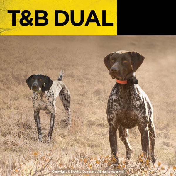 T&B Dual 2-Dog Training & Beeper Remote Dog Training E-Collar with Dual Dial