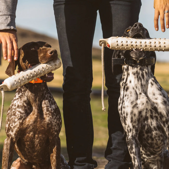 1902S 3/4 Mile Range 2-Dog Training Collar System with 127 Correction Levels