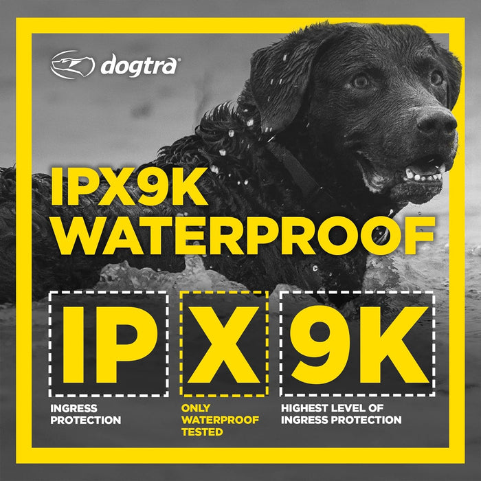 Dogtra 1900S Black Boost & Lock E-Collar Remote Dog Trainer with 1-Mile Range
