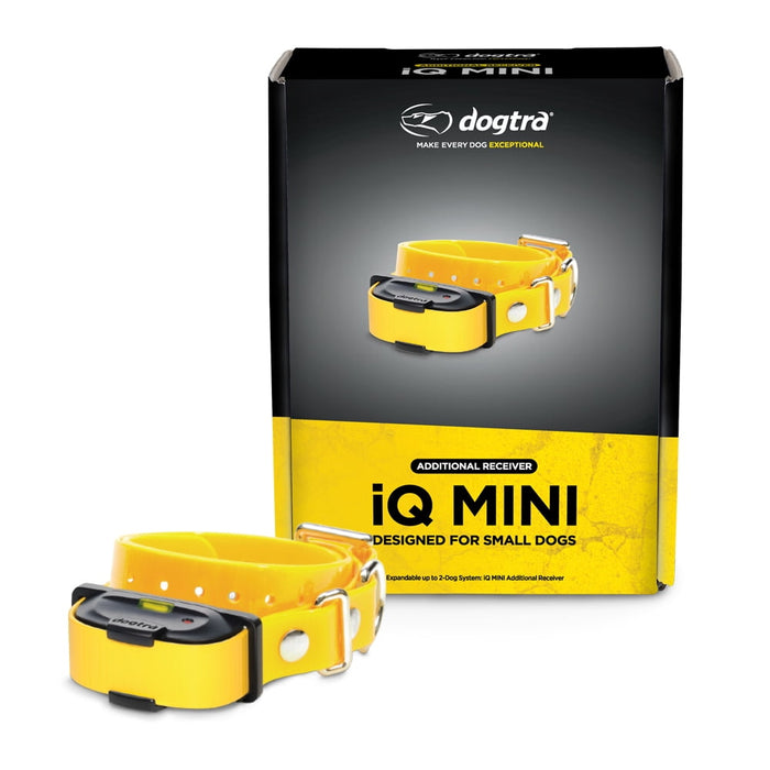 iQ Mini 400-Yard Additional Dog Training Receiver, Golden Yellow