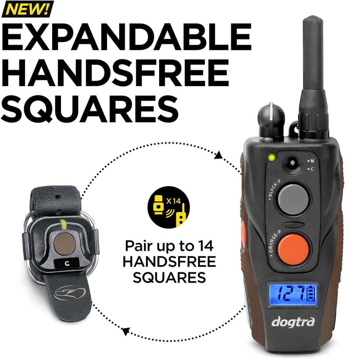 1902S HANDSFREE Plus Boost and Lock |  2 Dog Training E-Collars and Remote