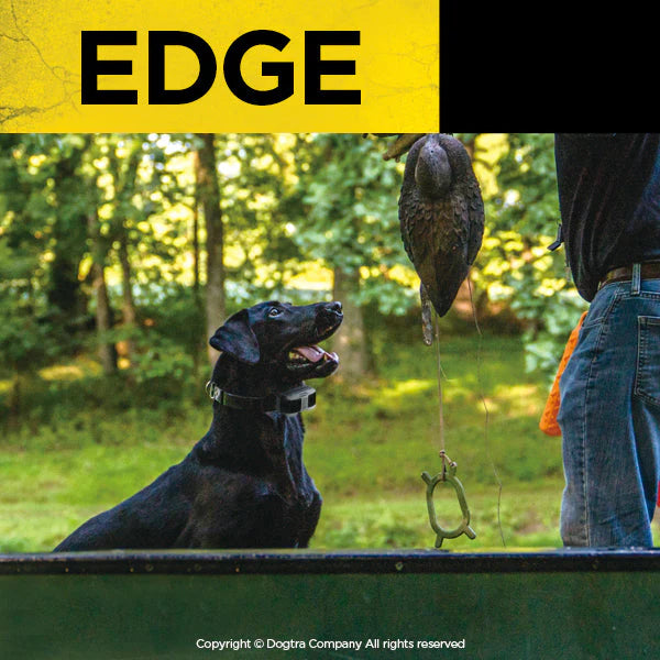 Edge 1-Mile Waterproof Remote Training E-Collar with LED E-Collar