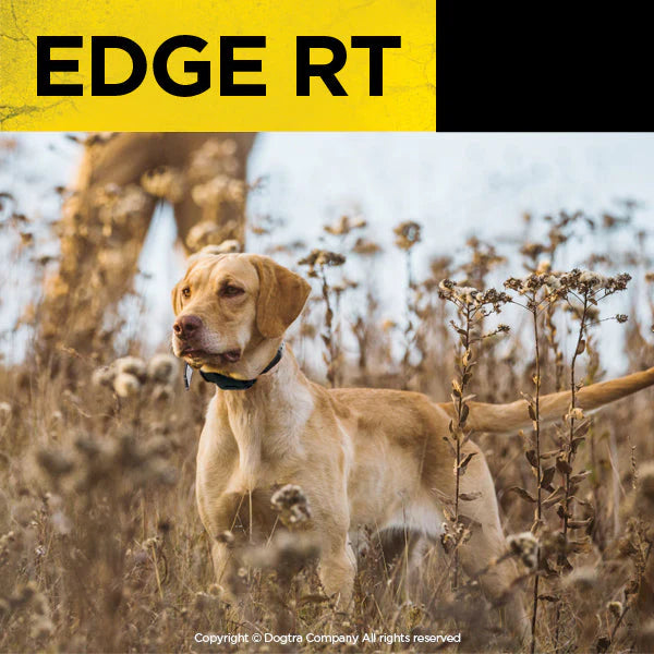 Edge RT 1-Mile Remote Dog Training E-Collar with Combination Boost Control