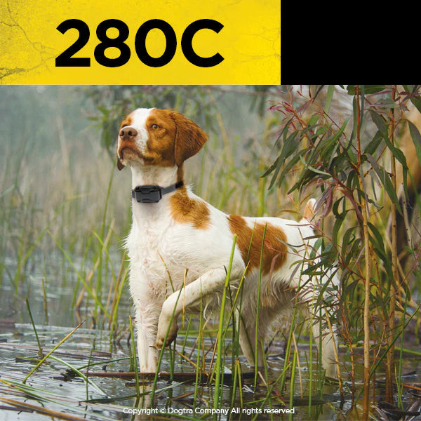 280C ½-Mile Remote Training Dog E-Collar with 127 Stimulation Levels