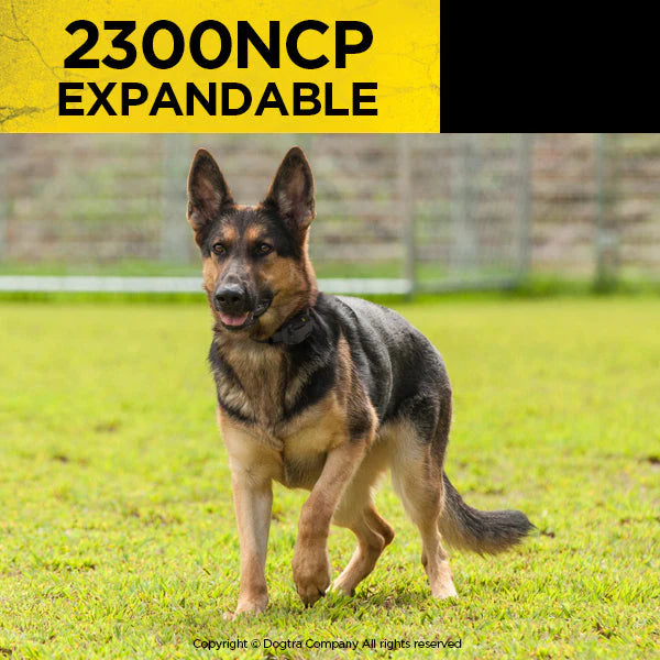 2300NCP Expandable 3/4-Mile 2-Dog Remote Training E-Collar | Medium & Large Dogs