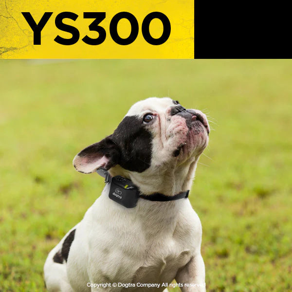 YS300 No Bark Collar with Sound Recognition Sensor | Small & Medium Dogs