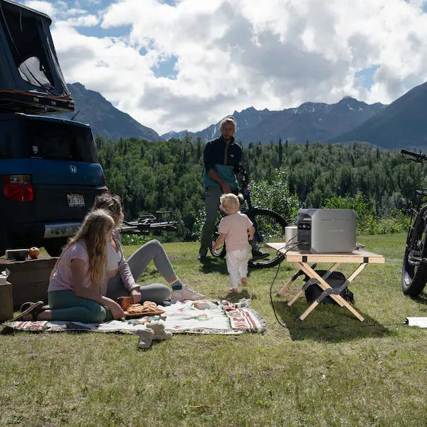 EcoFlow DELTA 3 Plus Portable Power Station with X-Stream Technology