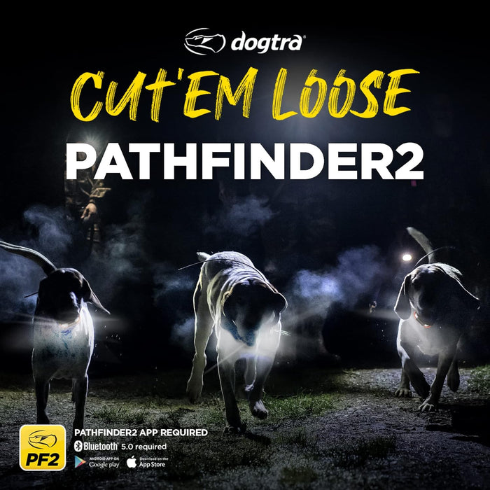 Pathfinder 2 Mini Additional Dog GPS Tracking and Training Receivers