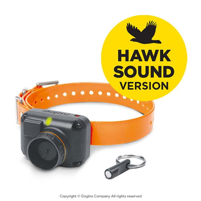Dogtra STB Beeper Collar Beeper Version Hunting Dog Collar | Audible Up to 400 Meters