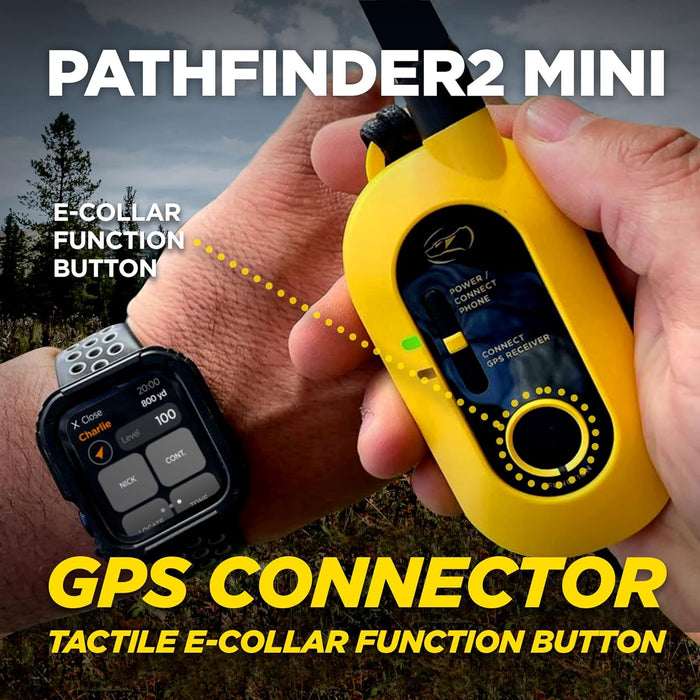 Pathfinder 2 Mini GPS Dog Tracker E-Collar with LED Light and Real-Time Tracking