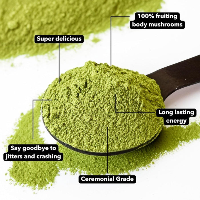 Mushroom Matcha+ Nootropics and Collagen for Better Focus, Energy, and Immunity