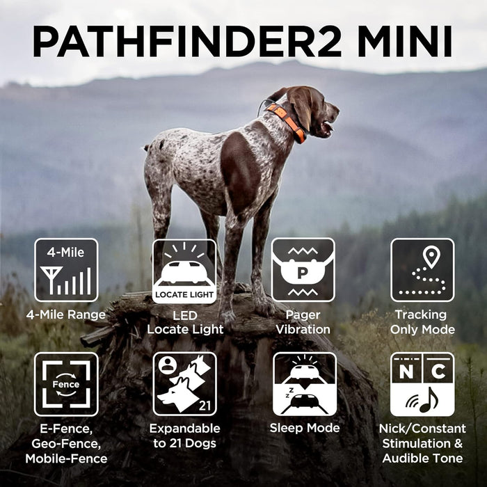 Pathfinder 2 Mini GPS Dog Tracker E-Collar with LED Light and Real-Time Tracking