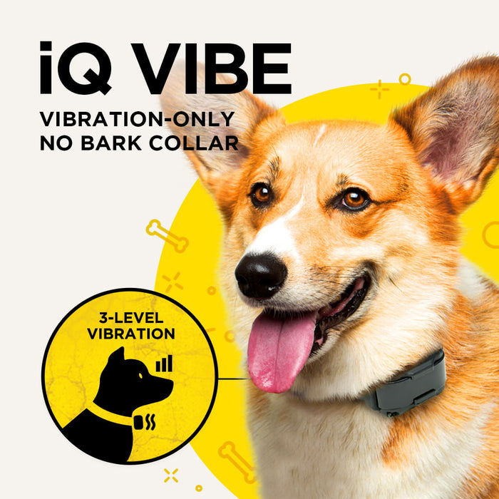 iQ Vibe No Bark Collar with 3 Levels of Vibration Only | Small & Medium Dogs