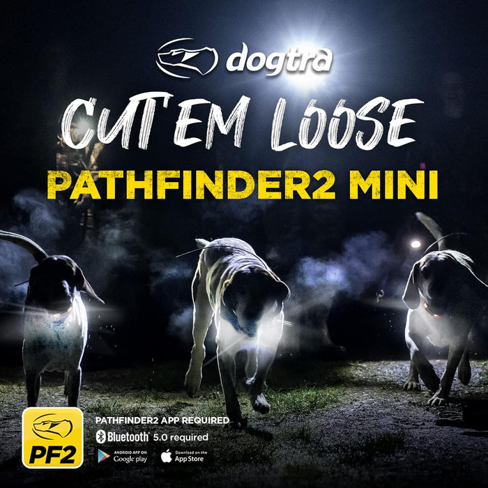 Pathfinder 2 Mini GPS Dog Tracker E-Collar with LED Light and Real-Time Tracking