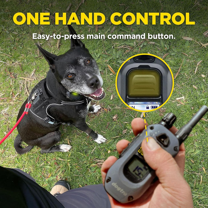 280X 2-Dog 1/2 Mile Range Training E-Collar System with LED Locate Light