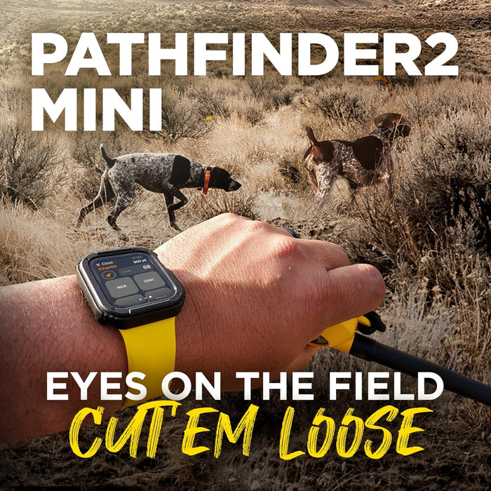 Pathfinder 2 Mini GPS Dog Tracker E-Collar with LED Light and Real-Time Tracking