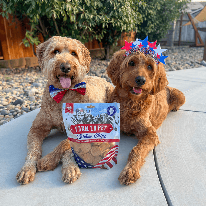 Farm To Pet Americana Chicken Chips for Dogs | Celebrate with USA-made Dog Treats