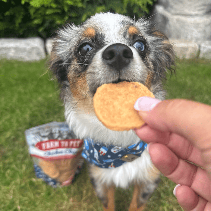 Farm To Pet Americana Chicken Chips for Dogs | Celebrate with USA-made Dog Treats
