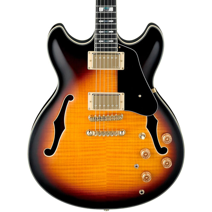 JSM10 6-String Semi-Hollowbody Electric Guitar, Right, Vintage Yellow Sunburst