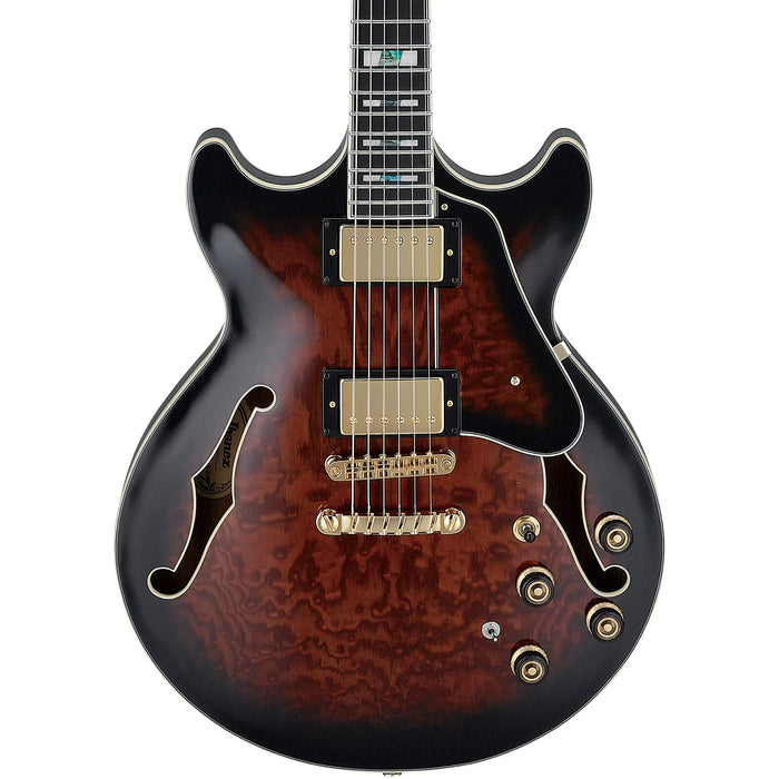 ArtStar AM153QA Semi-Hollowbody Electric Guitar, Right, Dark Brown Sunburst