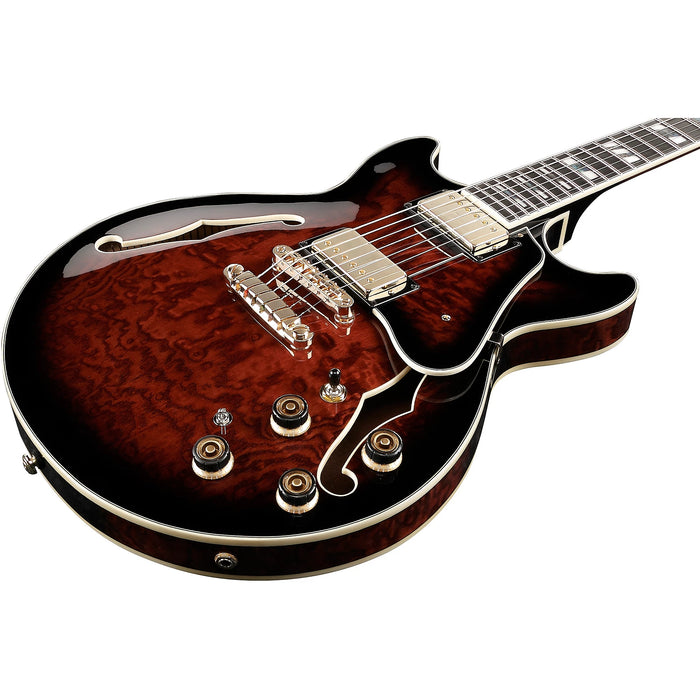 ArtStar AM153QA Semi-Hollowbody Electric Guitar, Right, Dark Brown Sunburst