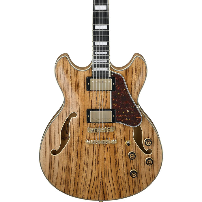 Artcore Expressionist AS93ZW Semi-Hollowbody Electric Guitar, Right, Natural