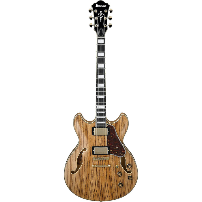 Artcore Expressionist AS93ZW Semi-Hollowbody Electric Guitar, Right, Natural